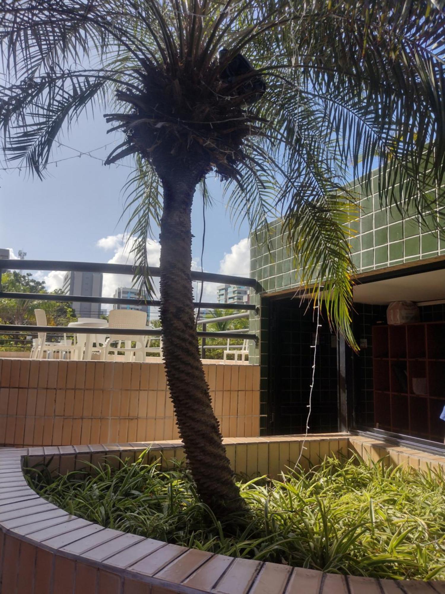 Belo Loft Na Ponta Verde Sem Taxa De Energia Maceió Eksteriør billede